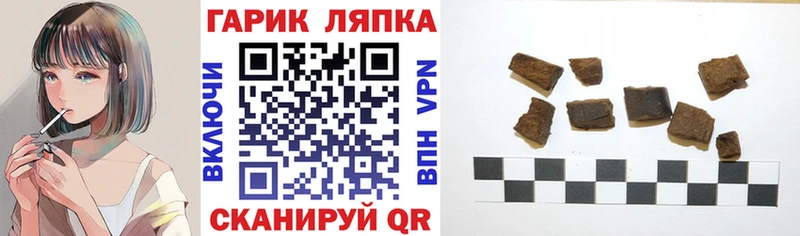 ГАШ Изолятор  Краснознаменск 