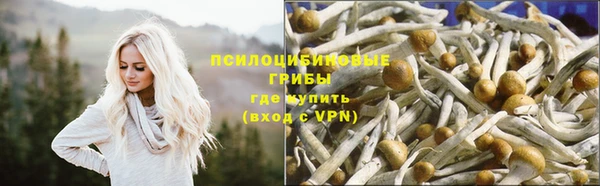 МДПВ Балахна