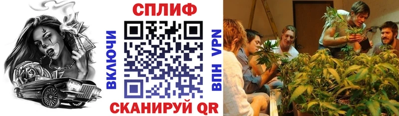 Бошки Шишки OG Kush  Краснознаменск 